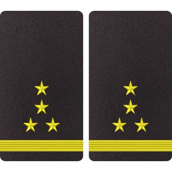 GRADE MAISTRU MILITAR 1 - FORTE NAVALE
